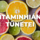 vitaminhiany_tunetei